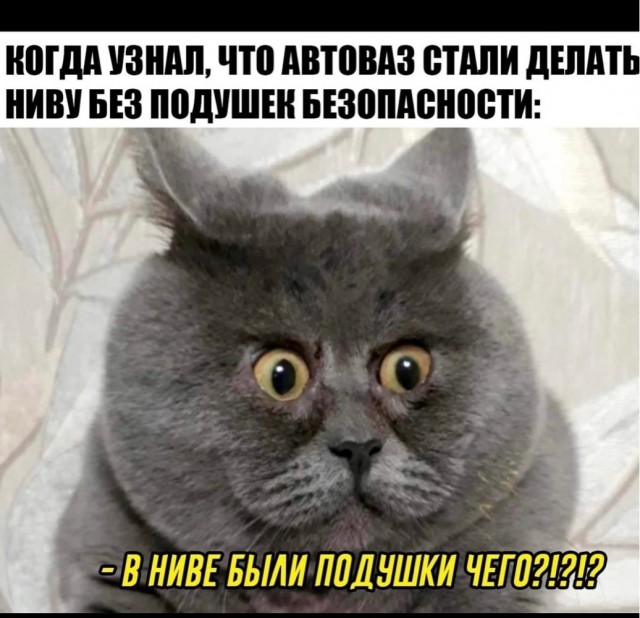 Так себе картинки 15.07.22