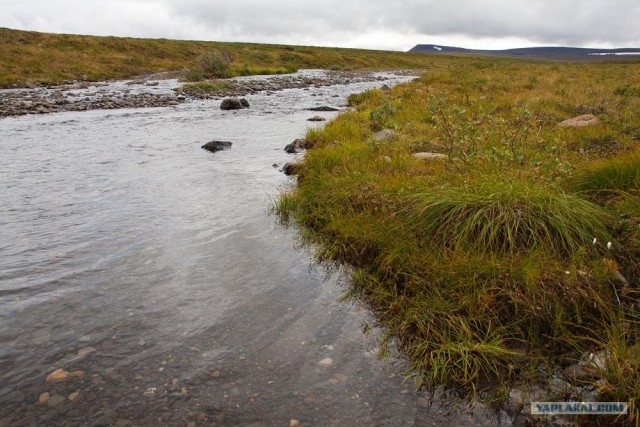 За Полярным кругом. Норильск. Тундра.