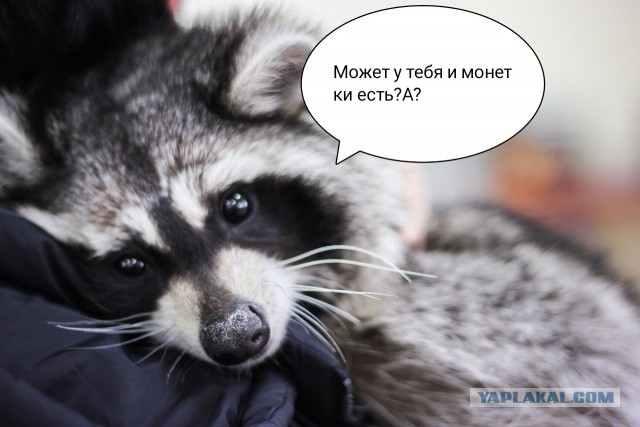 Одной дочери - образование, другой - квартиру. Младшая считает, что несправедливо
