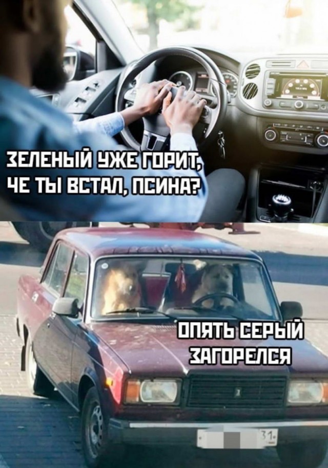 50 оттенков серого или самосвал баянов. Vol.28