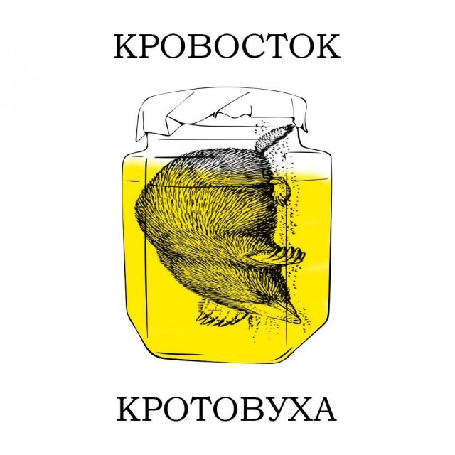 Мемы про кротовуху