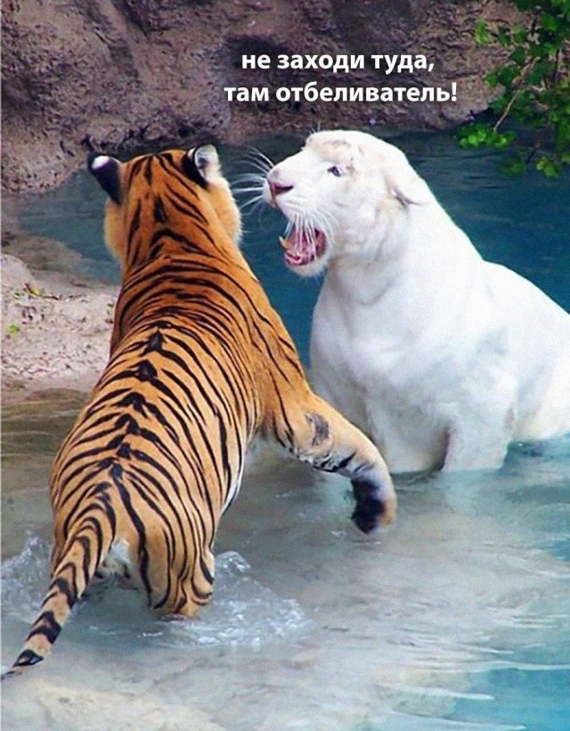 Всего понемногу. От 04.04.