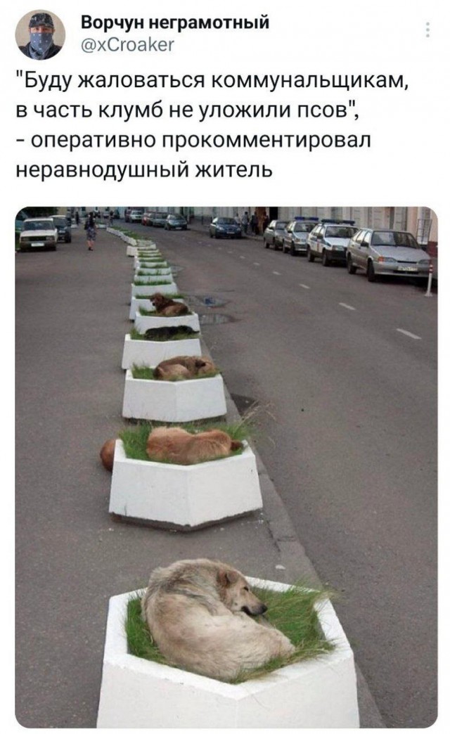 Картинки весёлые, вроде