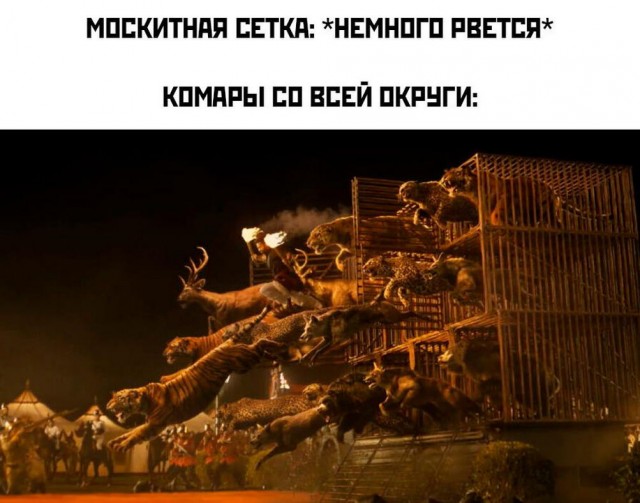 Картинки весёлые, вроде