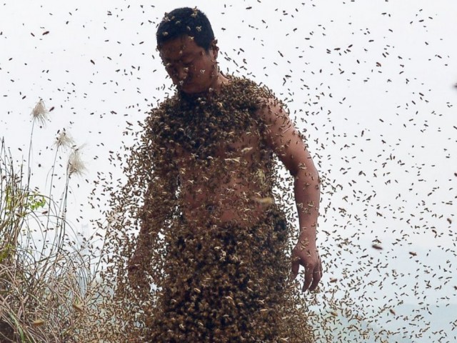 Покусали в тундре