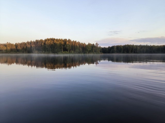 А ведь жизнь не так и плоха...