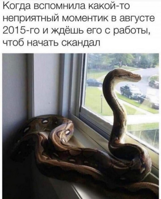 Прикольные и просто красивые картинки 15.09.2023