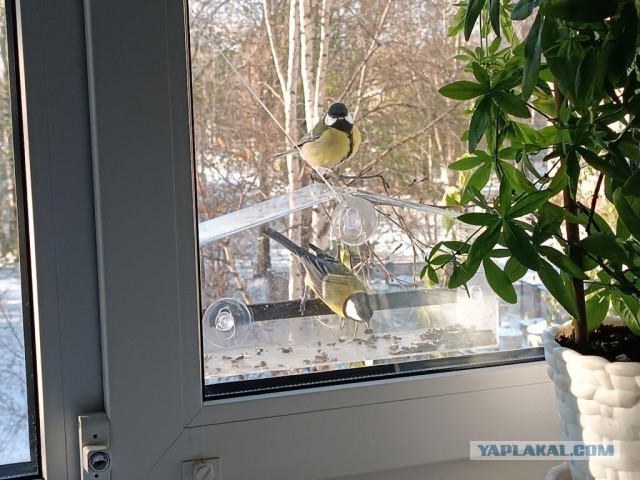 К зиме готовы