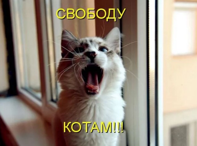 Чмо из ДОМ-2