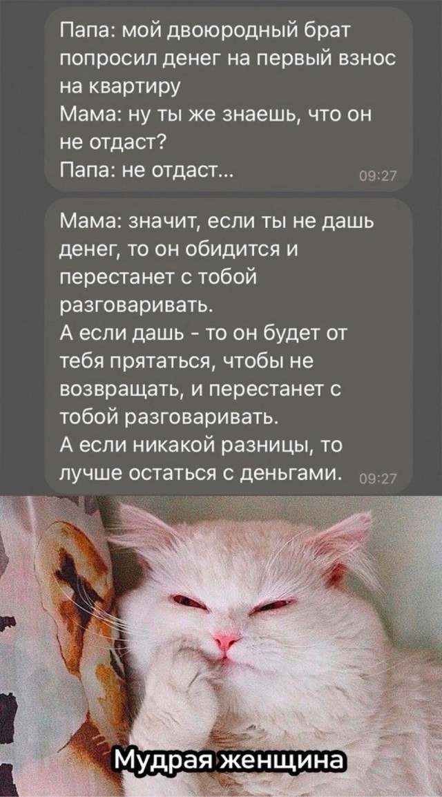 Забавные комментарии из социальных сетей (26.02.24)