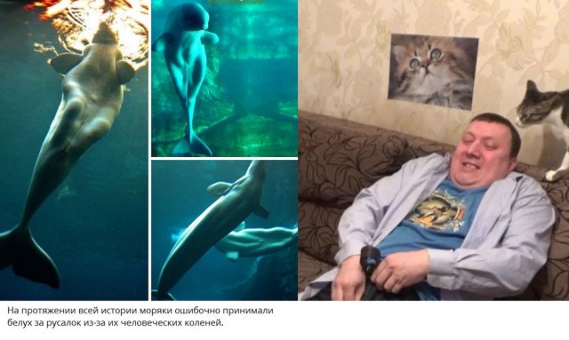 Пошлятина