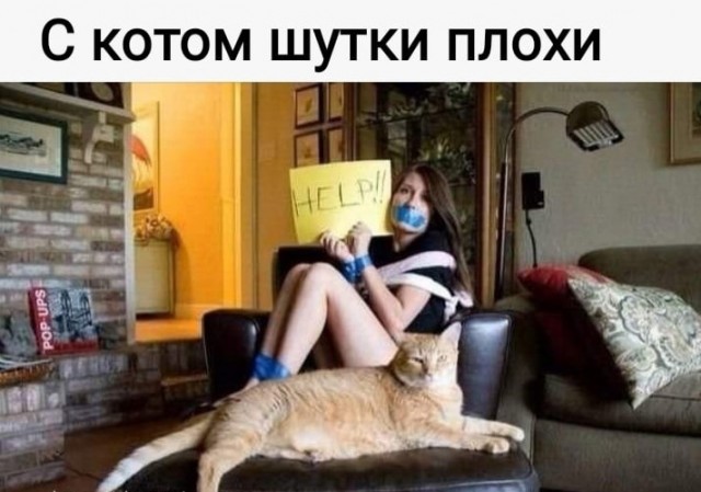 19472937.jpg