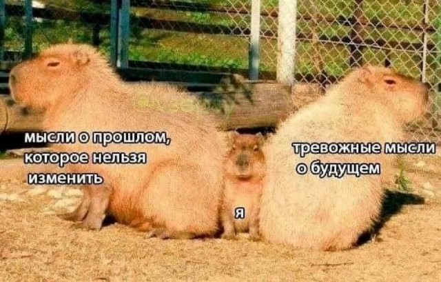 Картинки разные с надписями и без