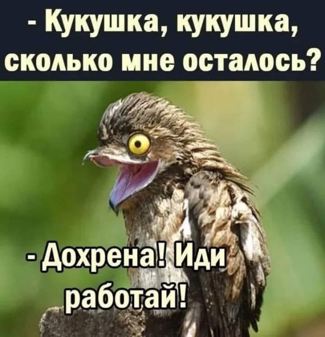 Картинки разные с надписями и без
