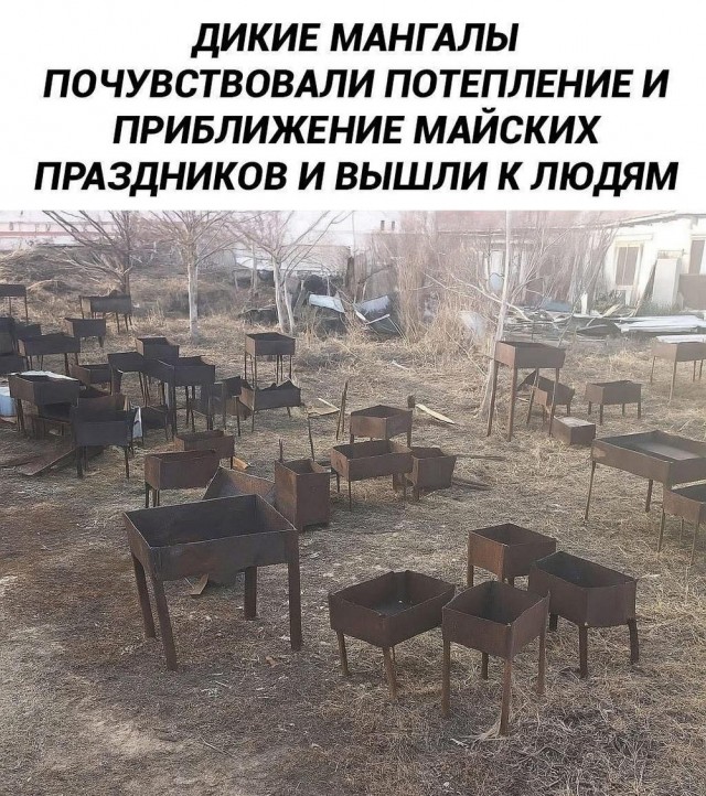 Картинки, своеобразного юмора