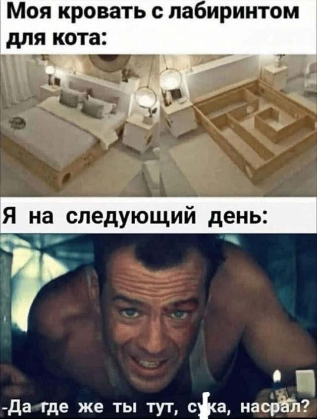 К котовторнику.