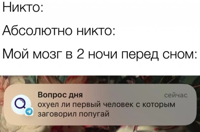 Завалялось тут случайно немного забавных картинок