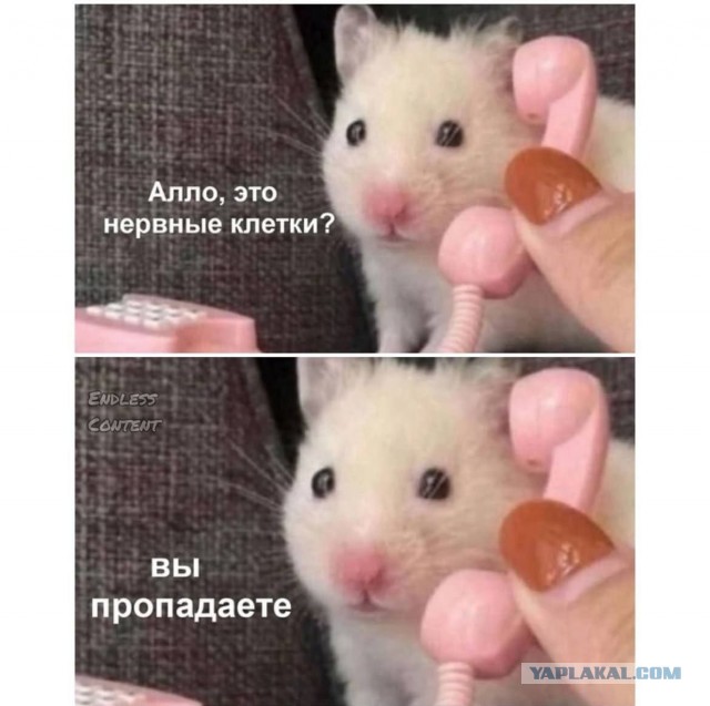 Завалялось тут случайно немного забавных картинок