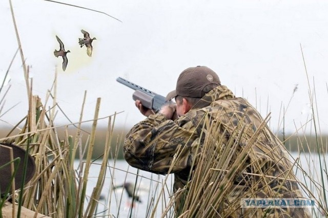Охотники, с открытием сезона!