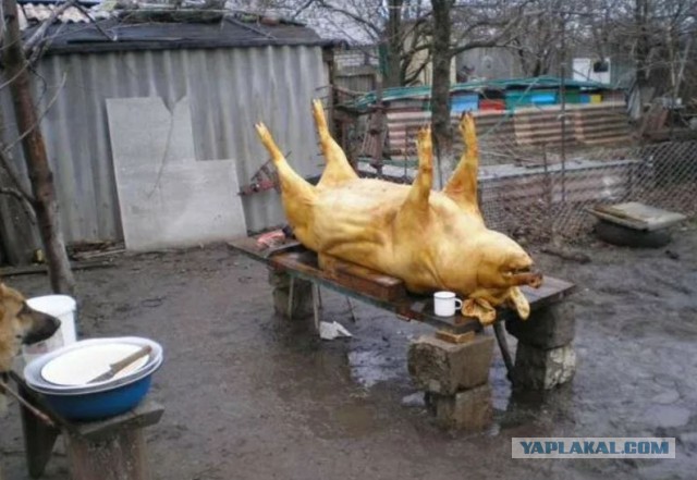 не режет-рисует