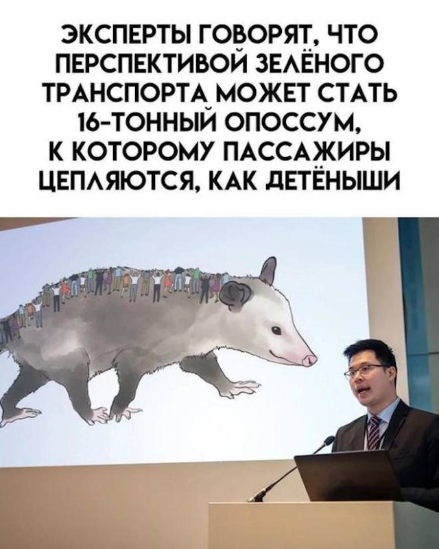 Веселые картинки в пятницу (28.11)