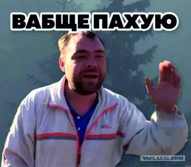 В Москве — цифровой апокалипсис: массовый сбой «Алисы» парализовал быт тысяч горожан