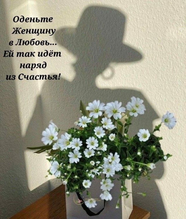 Прикольные и просто красивые картинки 16.01.2026