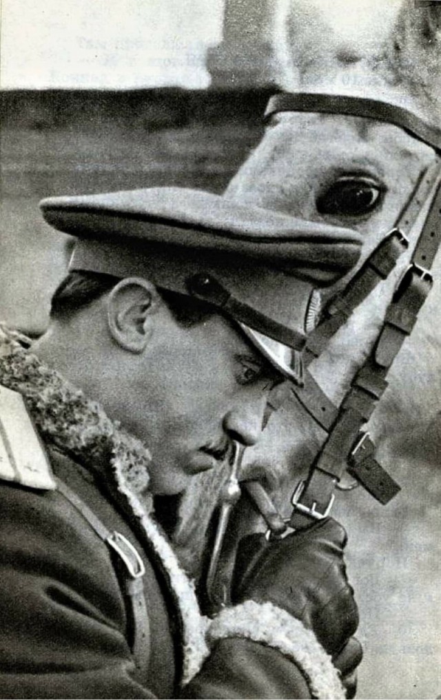 С Днём Рождения!