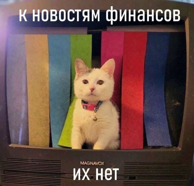 Картинки, веселые и глупые