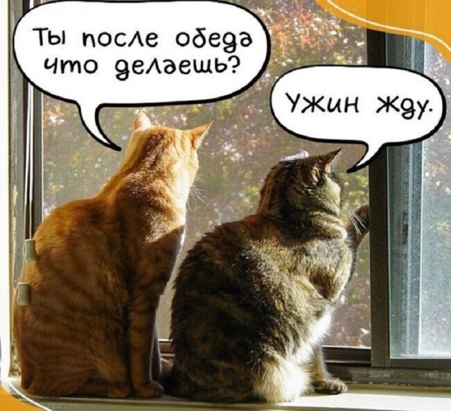 Так себе картинки 02.02.26