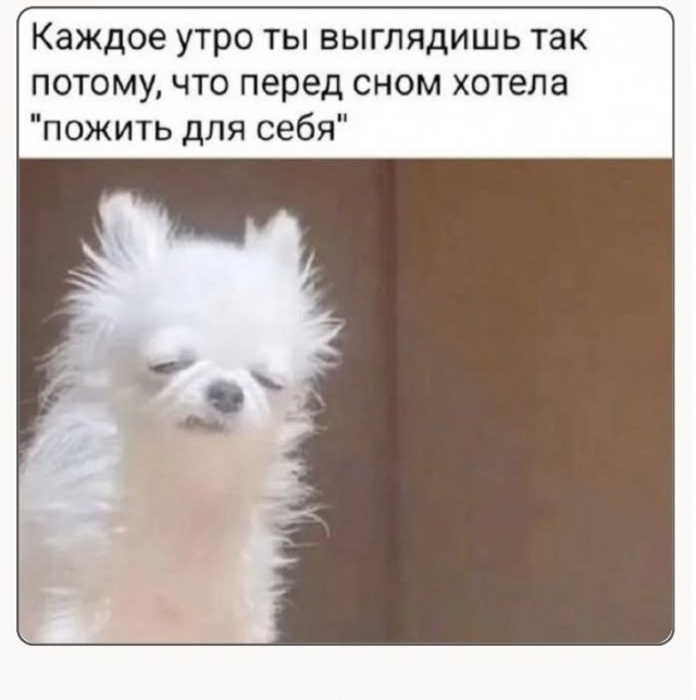 Субботние картинки