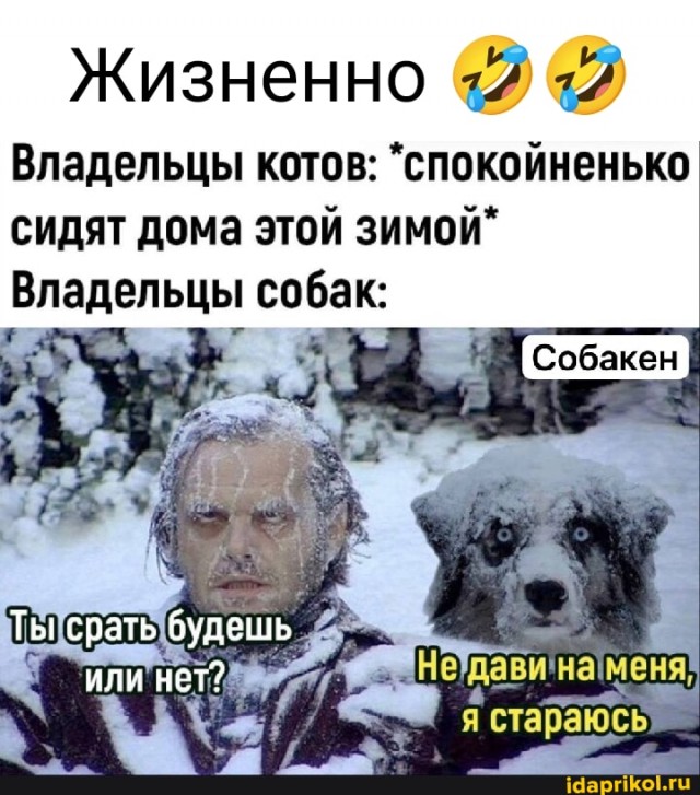 Самое трудное в жизни с собакой