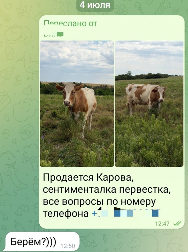 А много корова даёт молока?