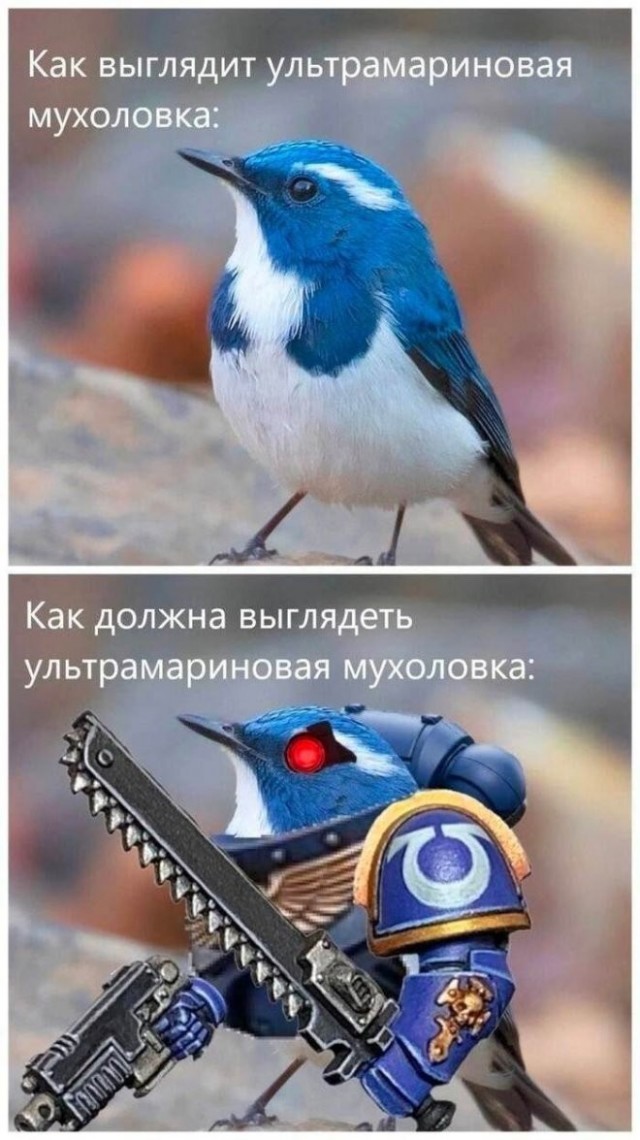 Веселые картинки в пятницу (10.07)
