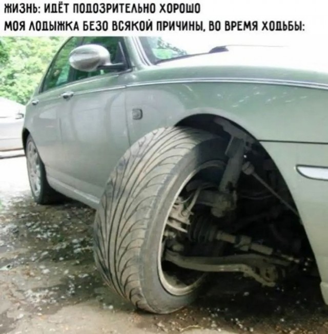 Так себе картинки 24.07.26