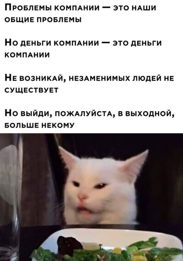 Картинки для деградации 249 (разной степени свежести)