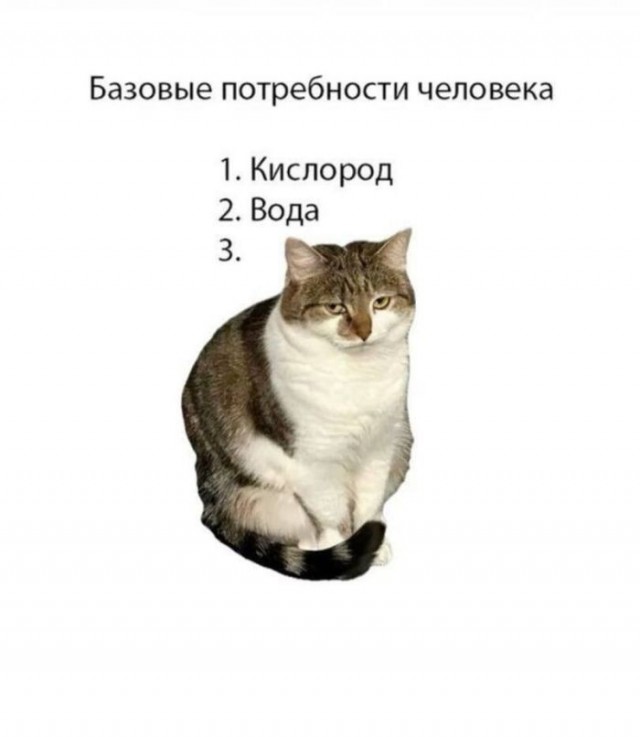 Картинки для деградации 276 (разной степени свежести)