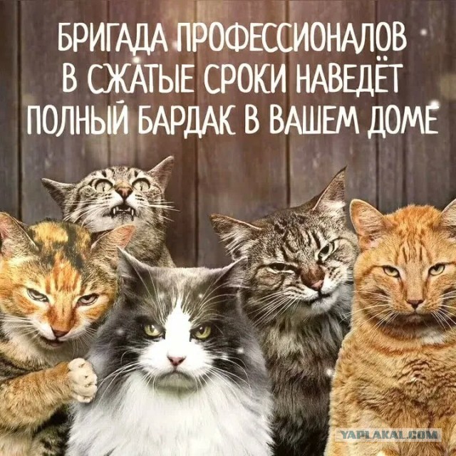 Подозрительные лица⁠