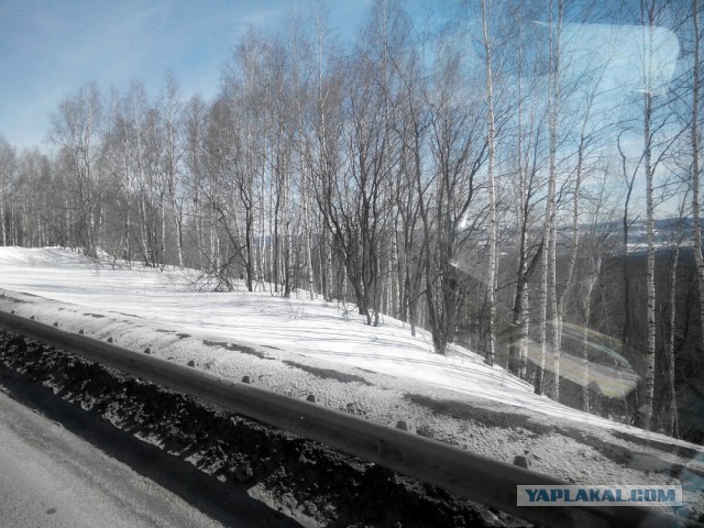 Странствия желтой скамейки)