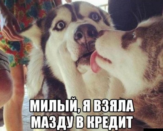 Картинки