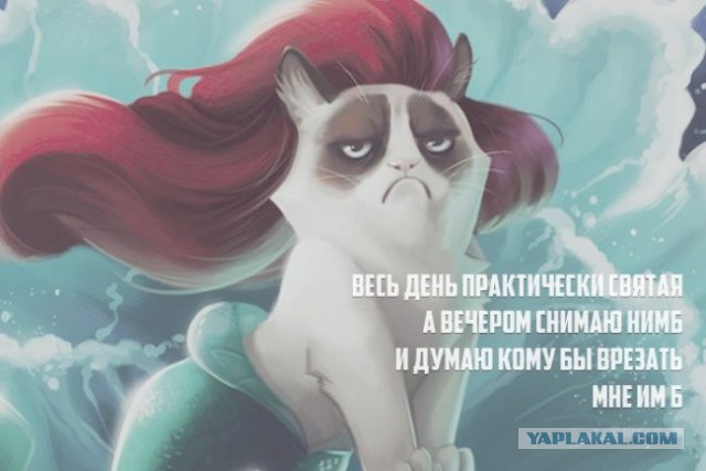 Мысли: кратко - но ёмко