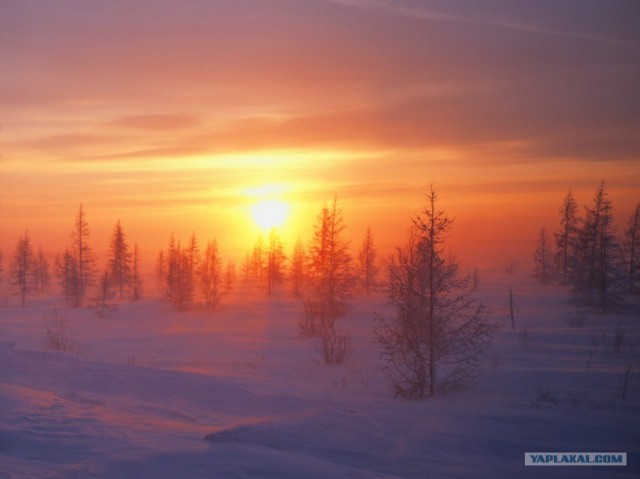 Не каждому дано