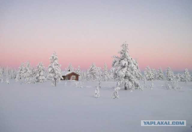 Подборка любопытных фотографий