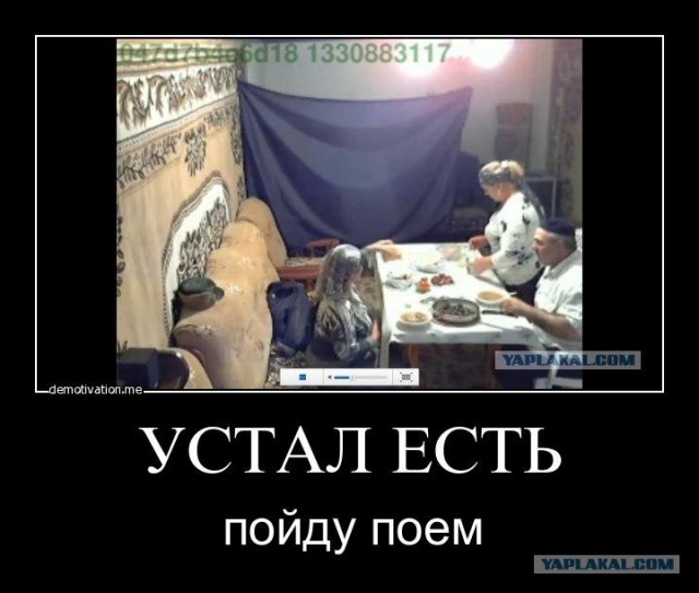 Веб-камеры на избирательных участках