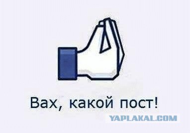 Кто построил Александровскую колонну