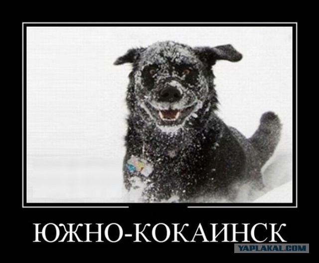 Где знакомиться с будущей женой?