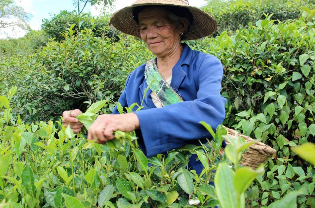 Китайцы о России и русских