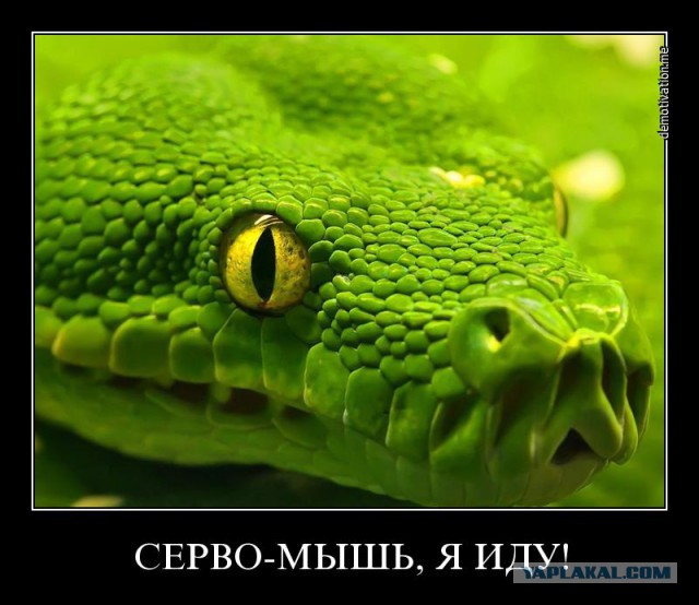 Вышел из строя сервер