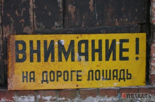 Фотожаба: Ксюша Собчак