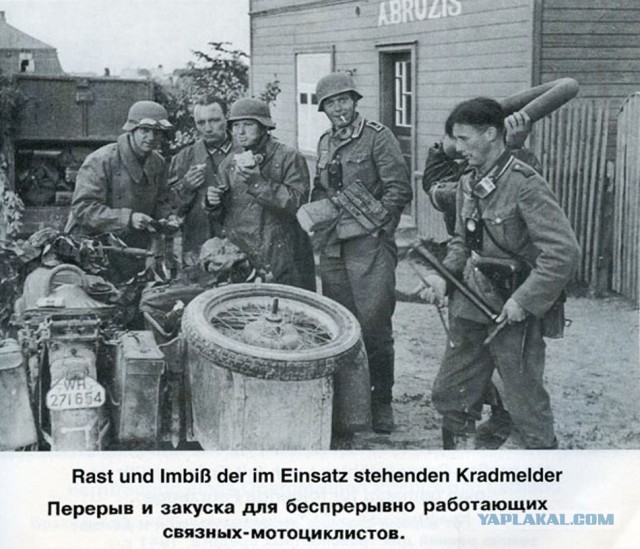Фото с мест Волховской битвы (Вермахт)